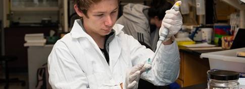 A student peers through a microscope during a lab